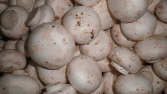土特产蘑菇木耳文案 土特产的文案怎么写香菇木耳灵芝