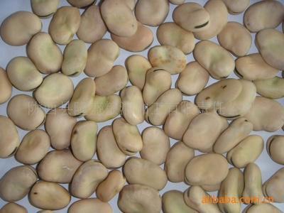 蚕豆是哪里特产 2022年蚕豆多少钱一斤