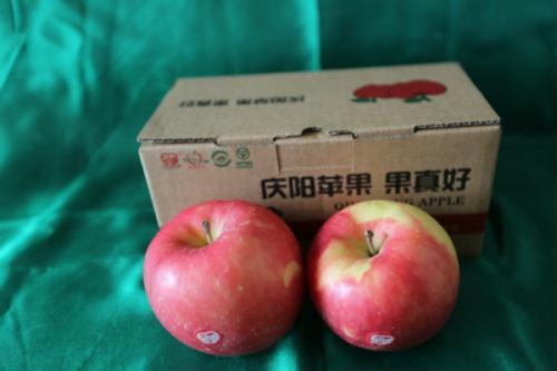 红富士苹果特产历史 正宗黄土高原红富士苹果