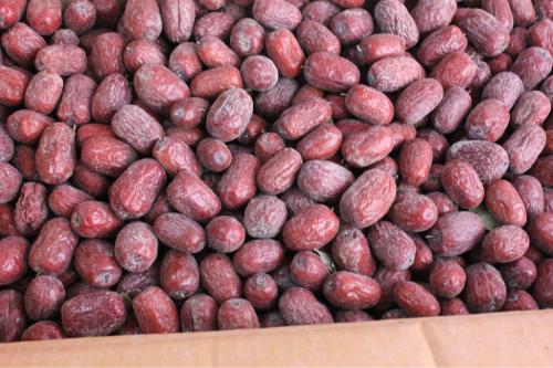新疆伊犁特产红枣 新疆特产红枣什么时候上市
