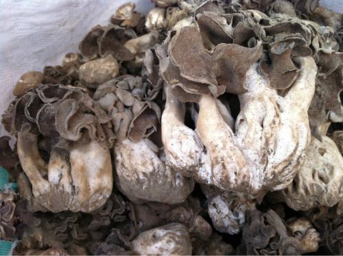 深圳宝安湖南特产蘑菇 广西特产蘑菇叫什么