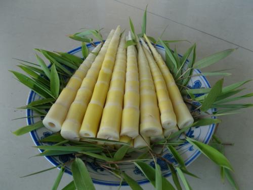 黄山特产干竹笋 安徽黄山的竹笋干多少钱一斤