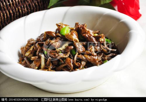 茶树菇是东北特产吗 野生茶树菇新鲜的样子