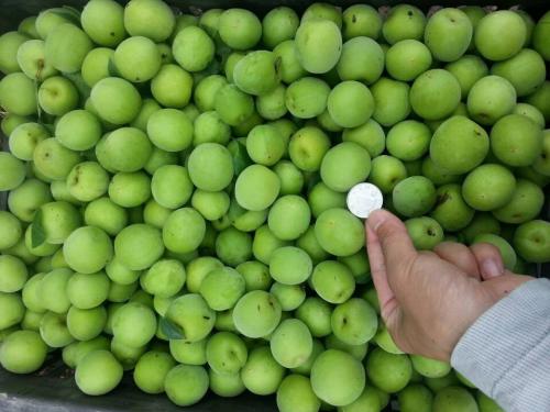 湖州特产豌豆 上海特产是豌豆
