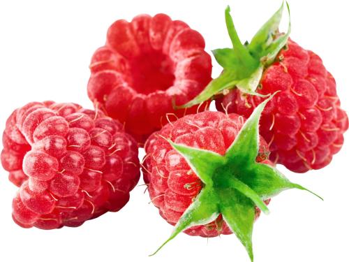 阿城特产红树莓 怀仁市红树莓图片
