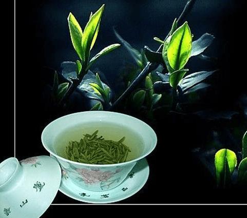 庐山云雾茶是哪里的特产茶 庐山云雾茶产区分布图高清