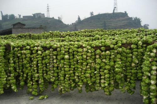 重庆市涪陵特产农家老咸菜 重庆最好的干咸菜
