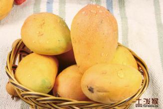 广州8月水果特产是什么 广州6月份有什么特产水果