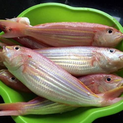 荣山特产鱼 荣县最好吃的特色鱼