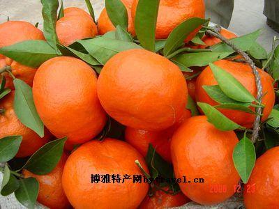 万州巫溪特产是什么水果 重庆市巫溪县土特产