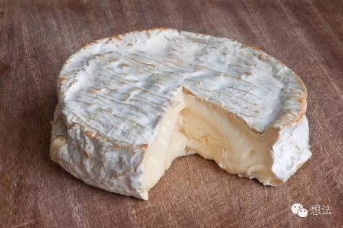 塞尔维亚特产 奶酪 俄罗斯顶级特产奶酪