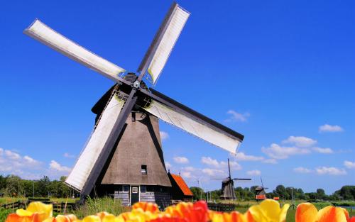 荷兰风物特产 荷兰国家出啥特产