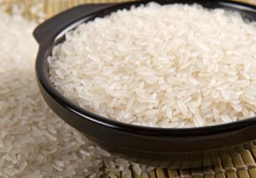 吉林大米特产 吉林哪里产的大米最好吃
