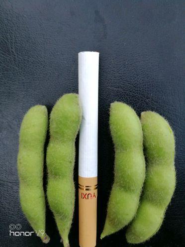 安徽阜阳的特产烟是什么 安徽特产烟一百块一盒