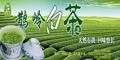 安吉特产白茶铁罐定制费用多少钱 安吉手工白茶的价格