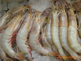 渤海湾特产黑蛤肉 山东哪里做肥蛤比较好吃