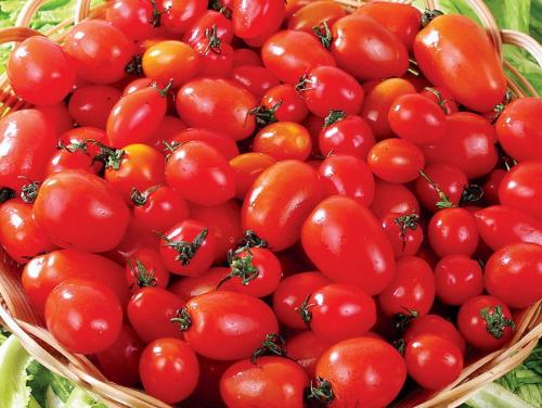 农特产品水果西红柿 