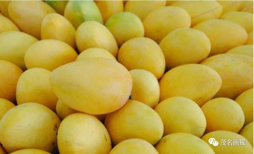 仙桃现在能买到什么土特产 仙桃土特产最新排名
