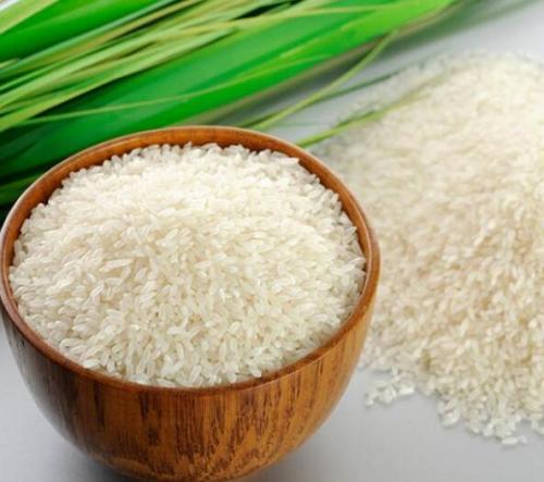 马贝油粘米在哪的特产 连山油粘米