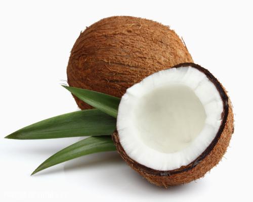 印尼特产椰子 正宗印尼椰子多少钱一斤
