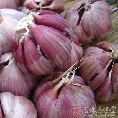 宝坻特产大蒜种植时间 天津大蒜种植时间表