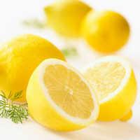 安岳柠檬有哪些特产 安岳黄柠檬是哪种柠檬