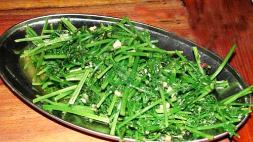 蕨菜福建特产是什么品种图片 蕨菜广东叫什么名字