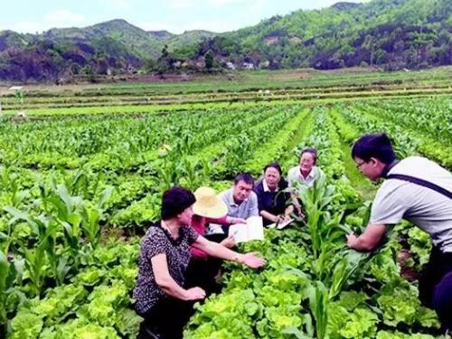 中国34个省特产蔬菜 全国各省的蔬菜特产