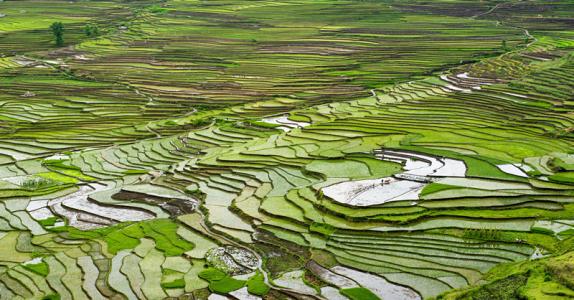 贵州六盘水竹海镇特产 贵州六盘水可以带走的特产