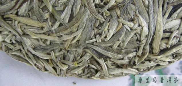 安吉特产白茶珍稀白茶 中国竹乡珍稀茗品安吉白茶