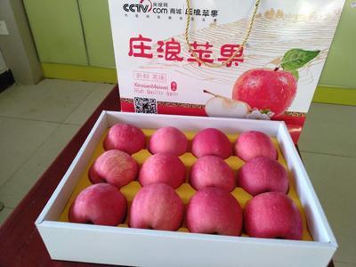 农产品土特产苹果 山东产苹果好吃还甜还便宜