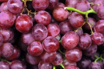 贵州特产水果类似葡萄 贵州野生水果有什么