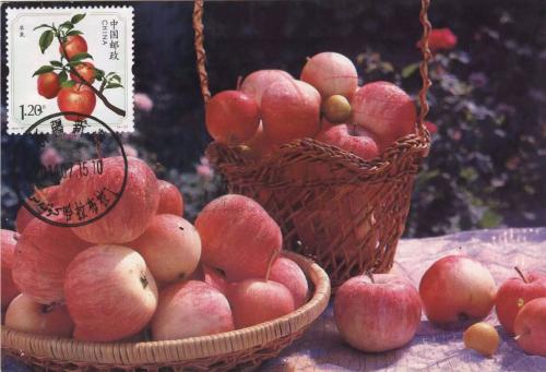 苹果是北方的特产还是南方的特产 什么地方产的苹果好吃且不酸