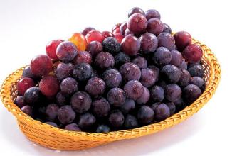 紫葡萄新疆特产 新疆的哪种葡萄最好吃