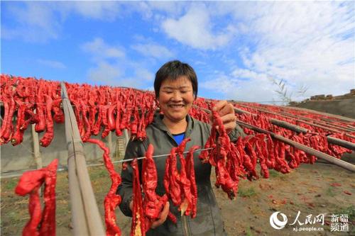 重庆西南区县特产黄连辣椒 重庆本地产的辣椒