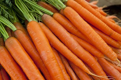 拉花萝卜菜是哪里特产 高山一年四季盛产萝卜菜