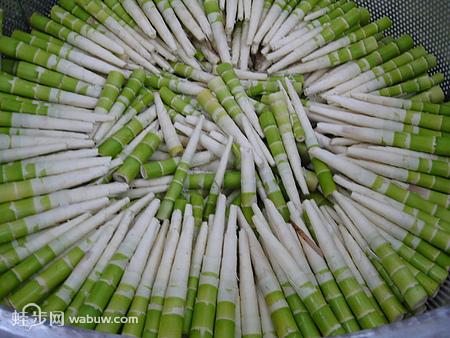 小竹笋的特产是什么 可食用十大竹笋