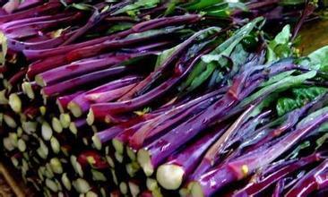 紫菜是湖南特产吗 哪里特产紫菜最好吃