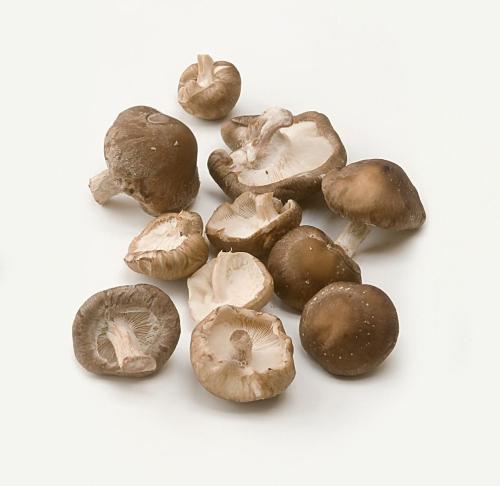 土特产香菇的做法 山里香菇最正宗的做法