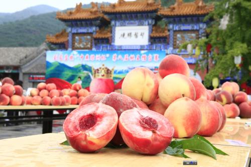 北京平谷特产水果 北京特产水果排行榜