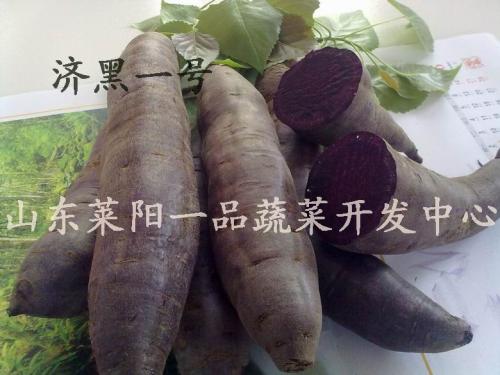 河南禹州特产红薯粉条多少钱一斤 河南禹州粉条是纯红薯的吗