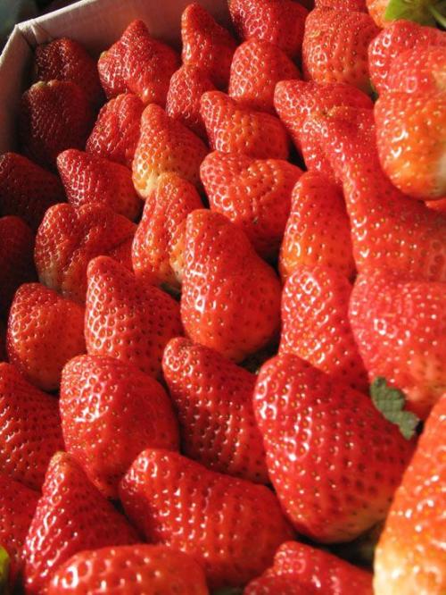 长沙特产最好吃的草莓 长沙十大好吃的水果