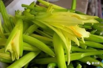 楚天农道之湖北随州特产干黄花菜 湖北哪里产的黄花菜最好