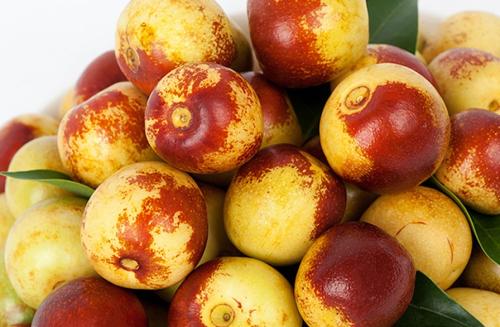 河北沧州的特产水果是什么水果 河北沧州十大特产有哪些