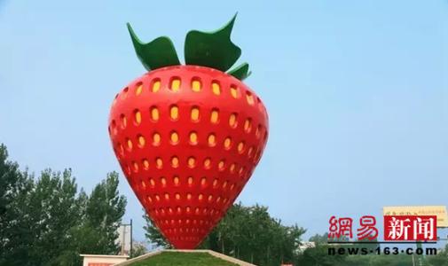 丹东特产草莓图片大全 丹东最大草莓图片
