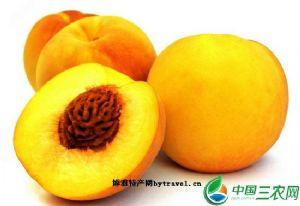 黄桃是哪个省的特产 中国的黄桃什么地方的最出名