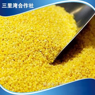 陕北特产小米的营养 陕北小米的100种做法
