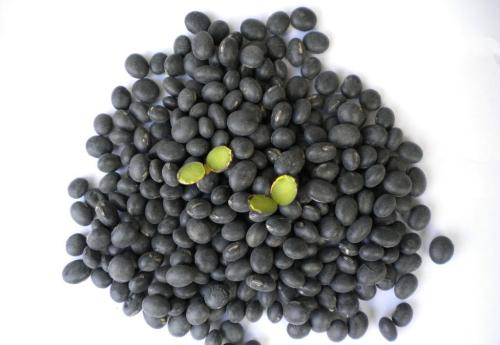 黑豆粉是哪里的特产 真正的黑豆粉多少钱一斤