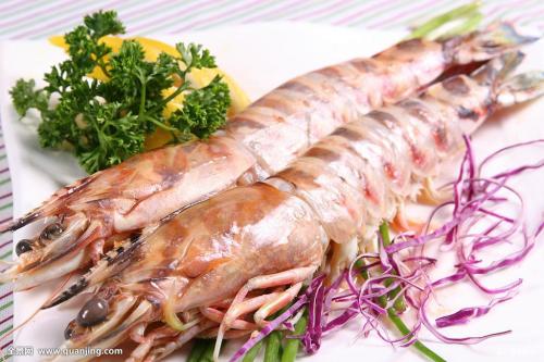 渤海对虾是哪里的特产啊 渤海野生对虾好在哪