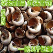 北京特产葫芦 能吃的葫芦大全